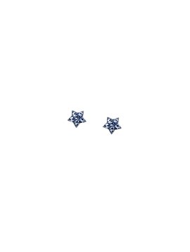 Σκουλαρίκια Αστέρι από Ασήμι 925